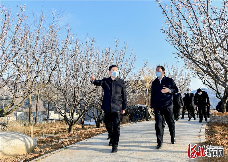 涿鹿新闻最新资讯网，连接信息世界，实时传递时事动态